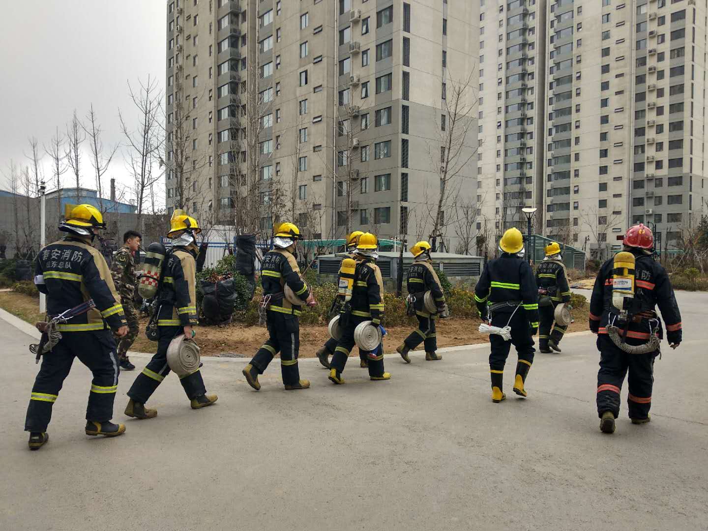 1532075433891771.jpg 2.jpg